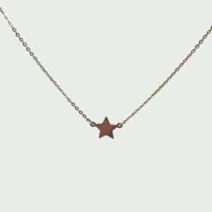 Collar de Oro 14k con Dije de Estrella Minimalista