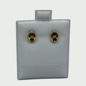 Aretes de Oro 14k con Doble Montura Circular