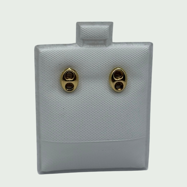 Aretes de Oro 14k con Doble Montura Circular